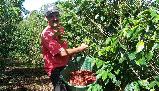 Café de Costa Rica